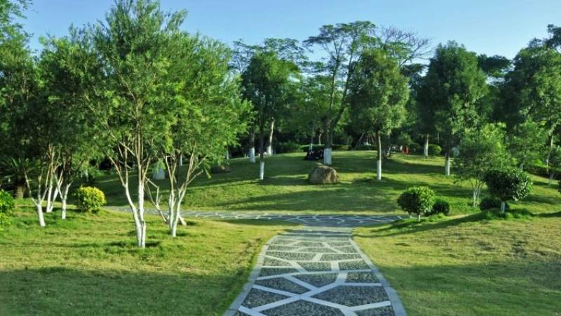 麻将听牌技巧全解析:从听口选择到改良空间的实战思路