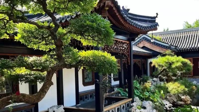 围棋让子棋入门:让子数量怎么定与开局思路