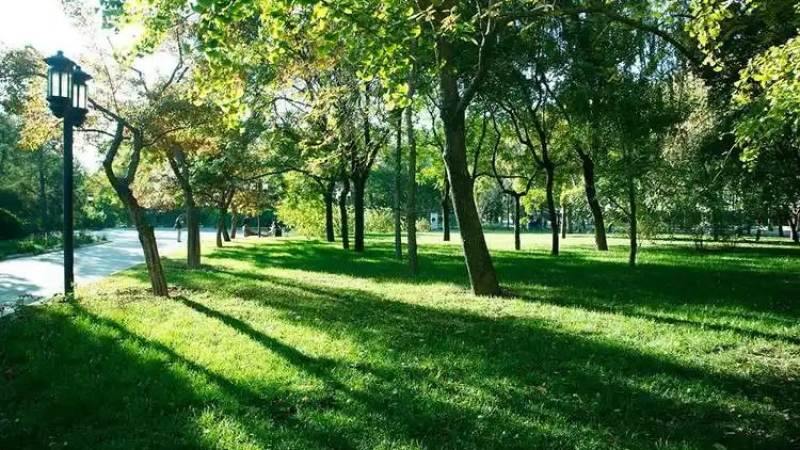 jinnianhui 金年会 园林绿化团队作业场景